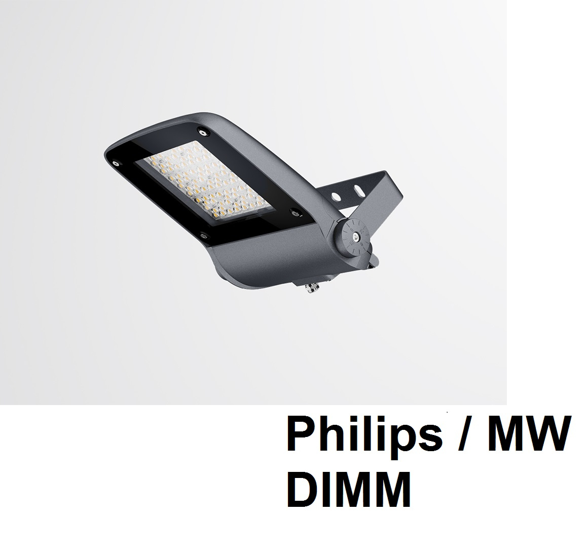 Прожектор IP67 с диммируемым источником тока Philips / MW DIMM светодиодный накладной FALDI VIKING-S90P