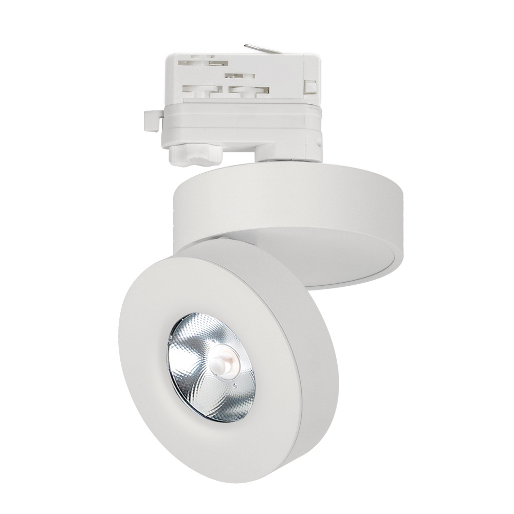 Светильник Arlight LGD-MONA-TRACK-4TR-R100-12W White5000 (WH, 24 deg)